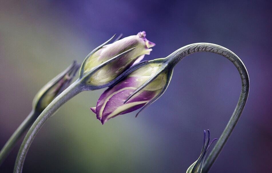Поддержка действием самая лучшая! Без лишних слов.