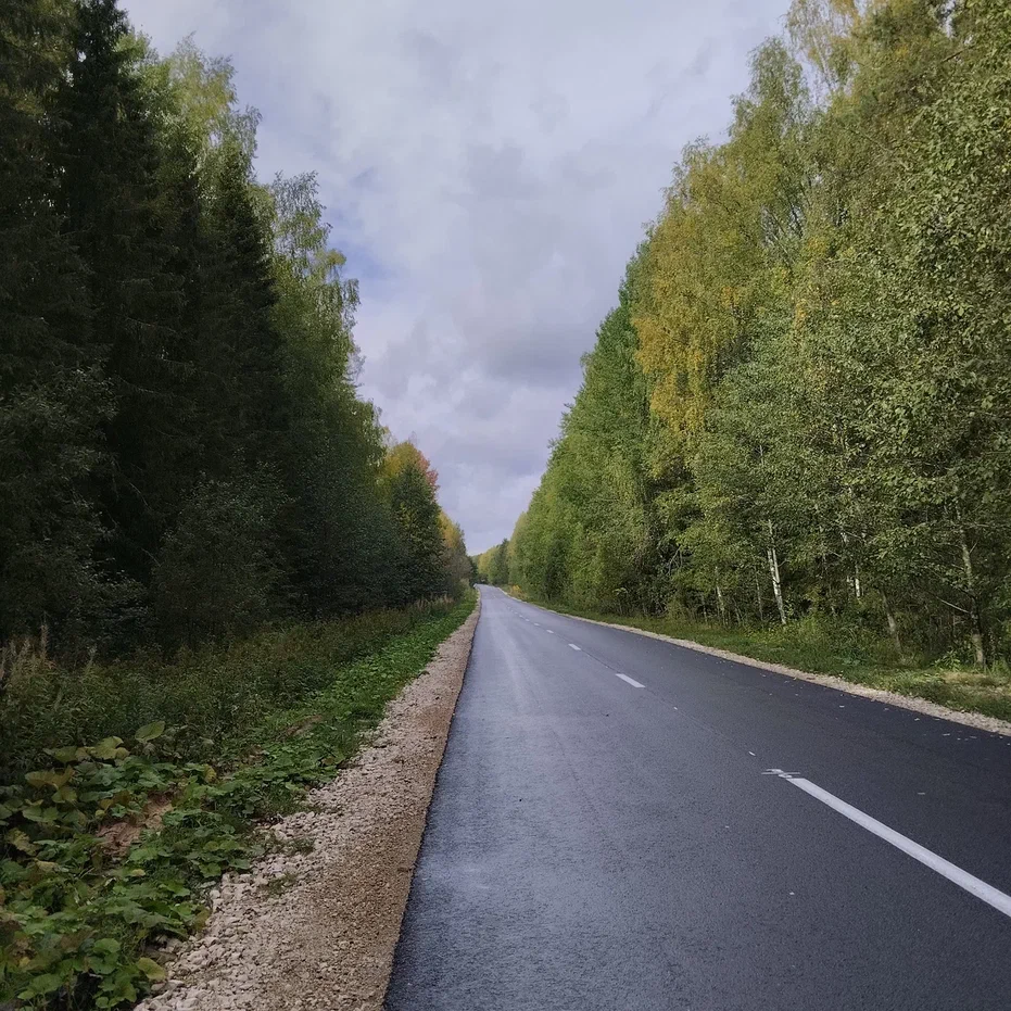 Пустынная дорога, никаких грибников