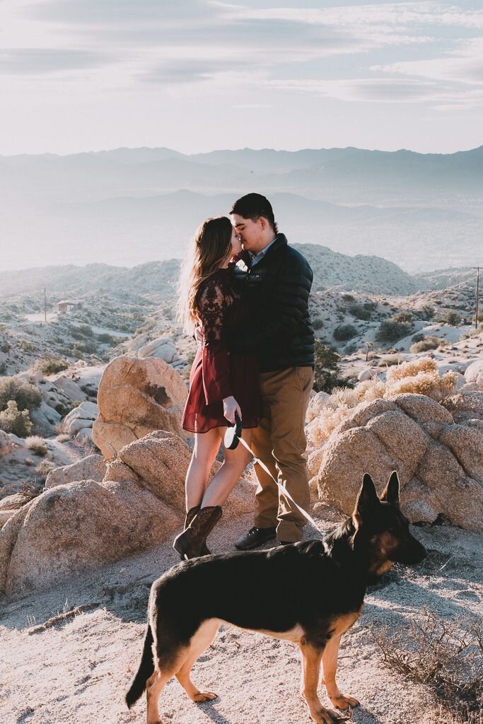 Фото взято из Яндекс картинки