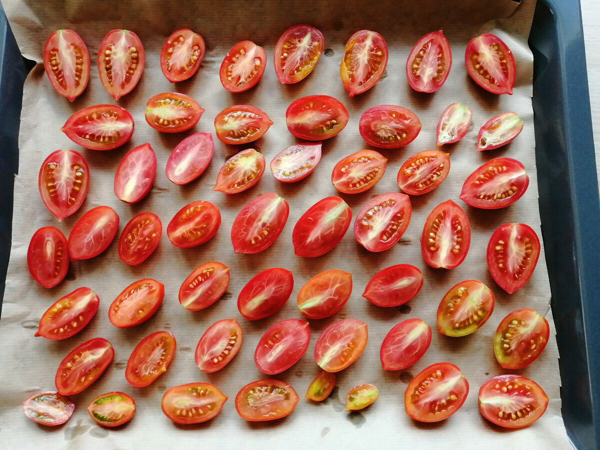 Помидорки готовы вялиться 