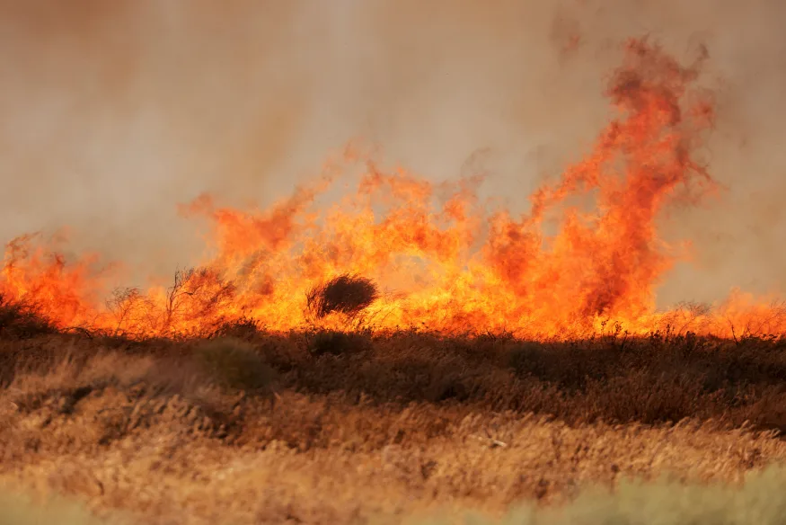 David Swanson / reuters