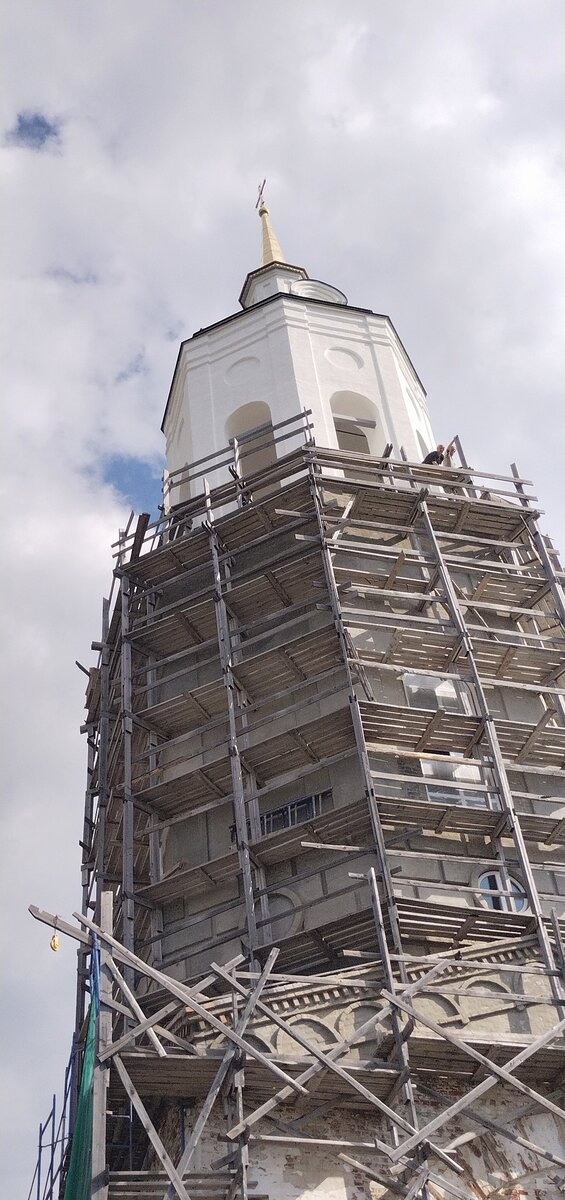 Вся в лесах