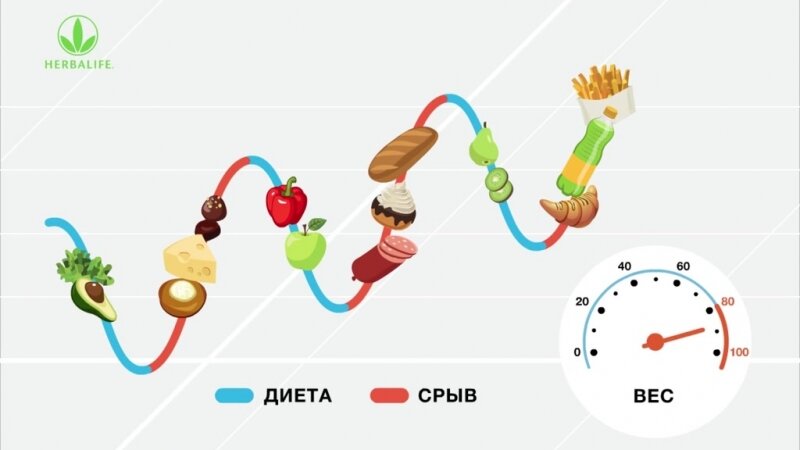 жизнь обладателей курсов 
