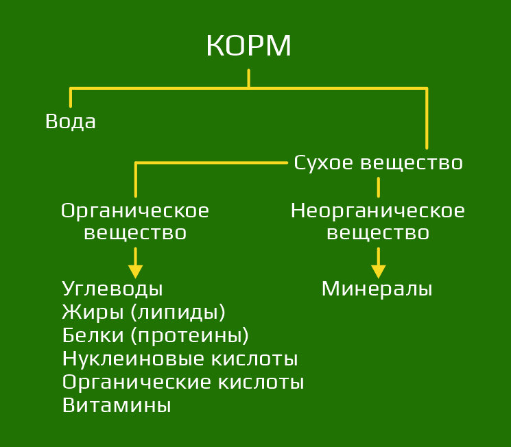 Состав корма (схема 1)