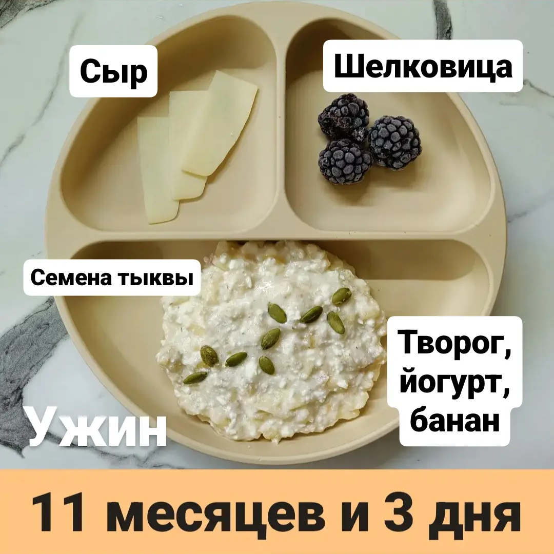 Пример тарелки в 11 месяцев 
