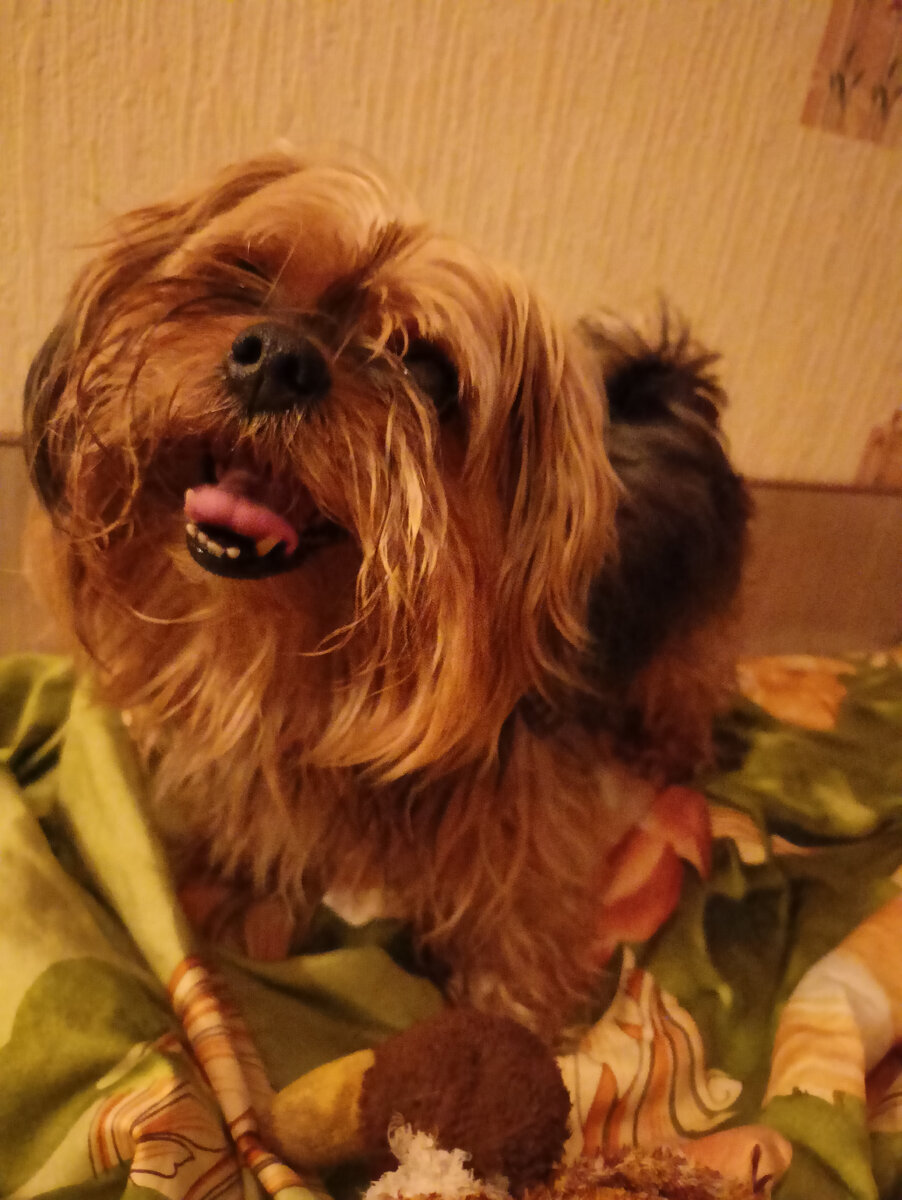 Мой любимый Цезарь