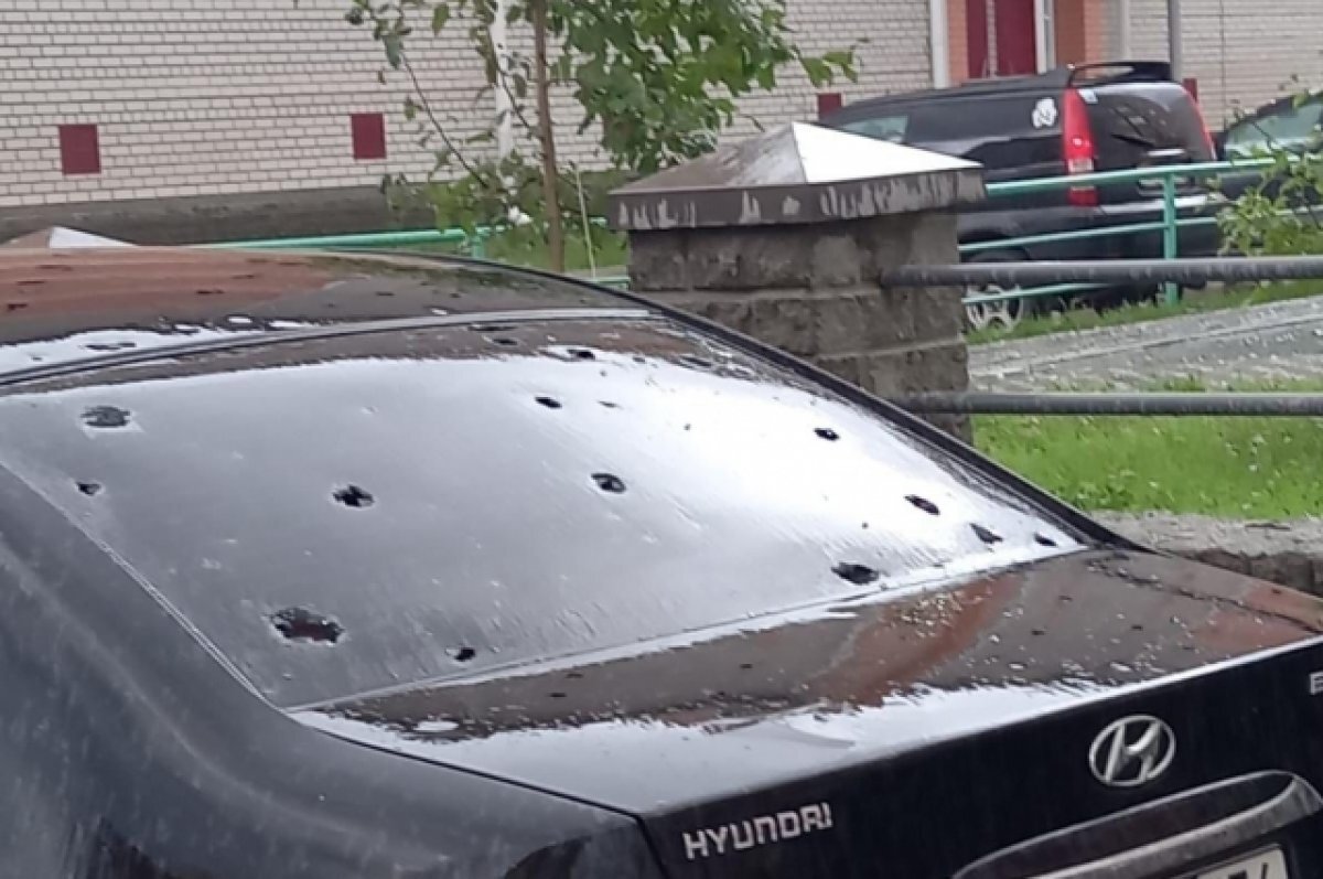    Синоптики назвали прошедший в Новосибирске 4 сентября град аномальным