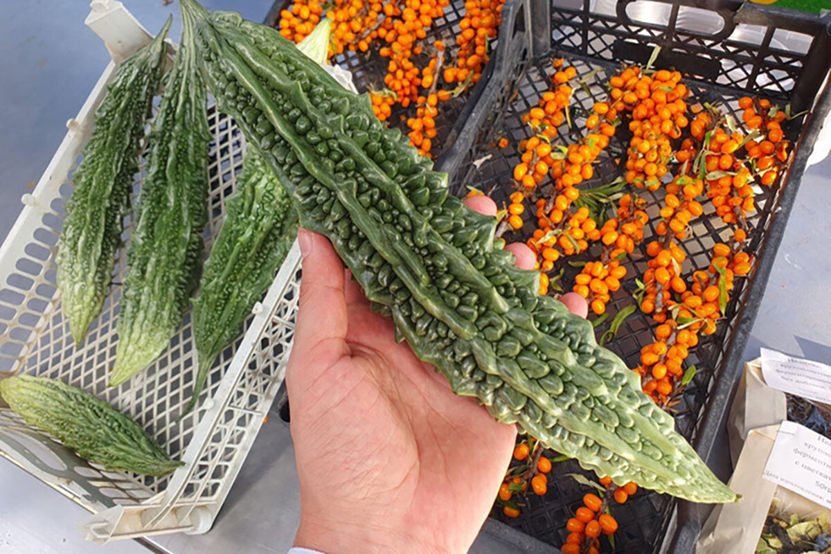    Фото: komarovka.by / Instagram