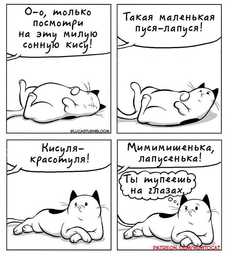 Комиксы про котят. Комиксы с котами. Комикс про кота. Смешные комиксы коты. Смешные комиксы с котиками.