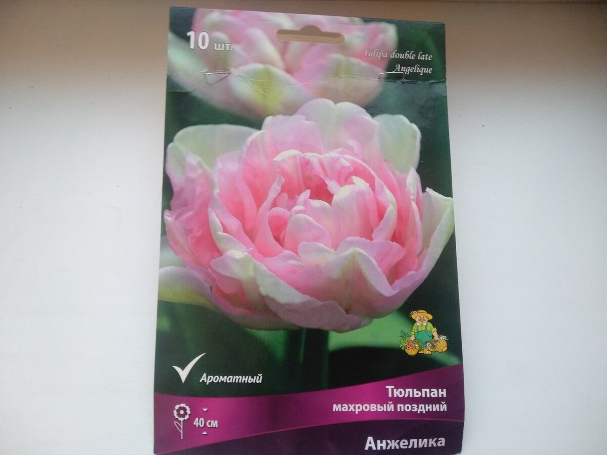 Этикетка от набор луковиц махрового позднего тюльпана Анжелика
