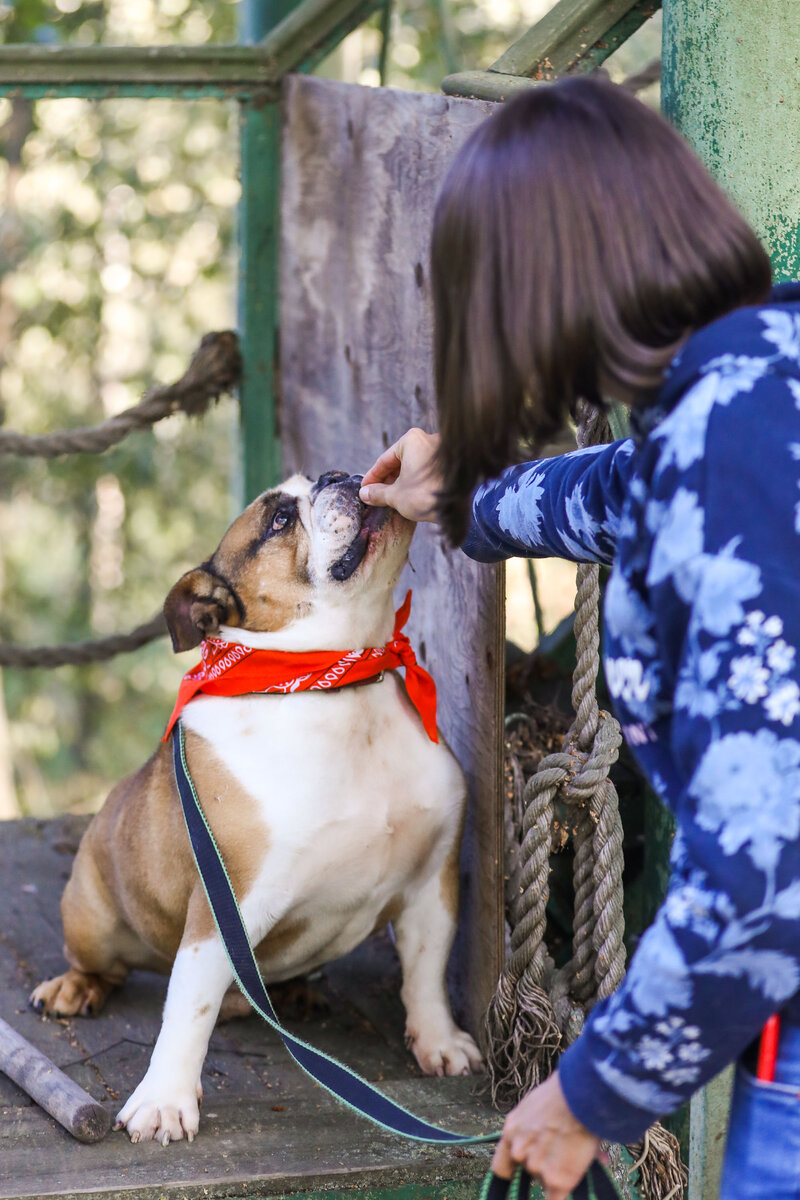 Елена и Абрикос.