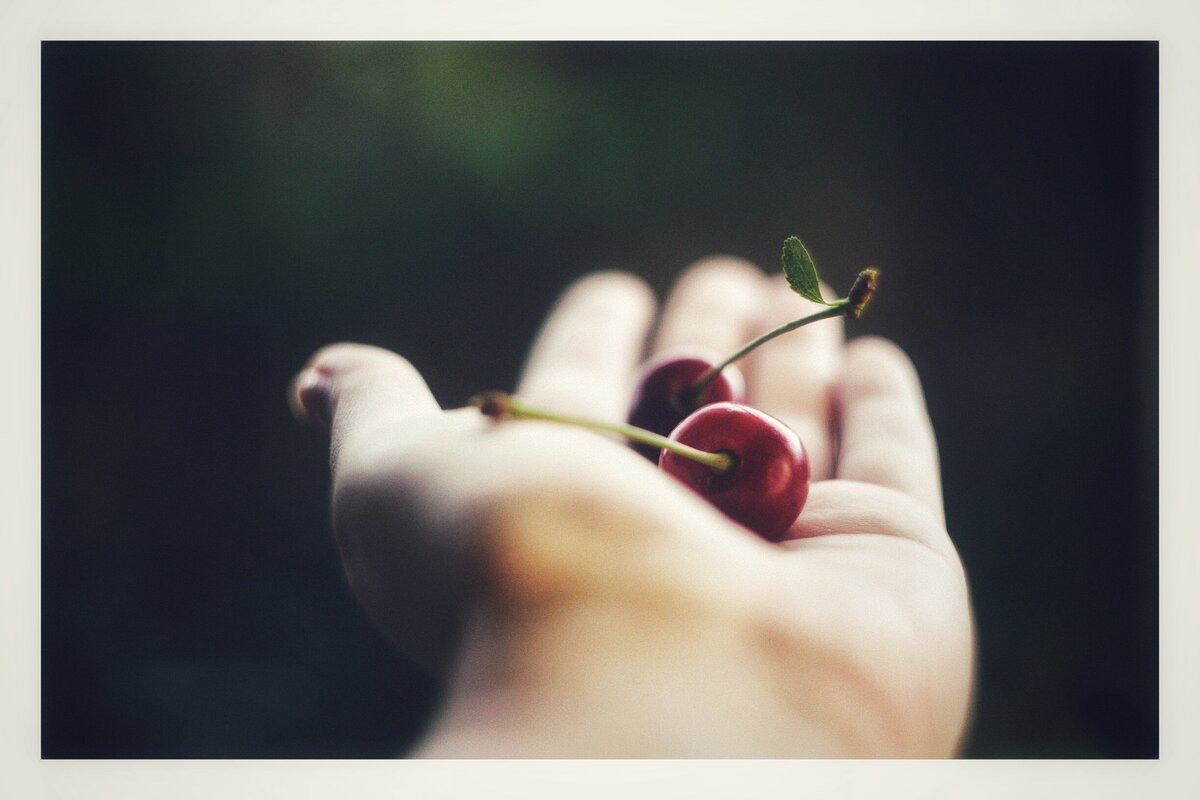 photo: Анна Ракович