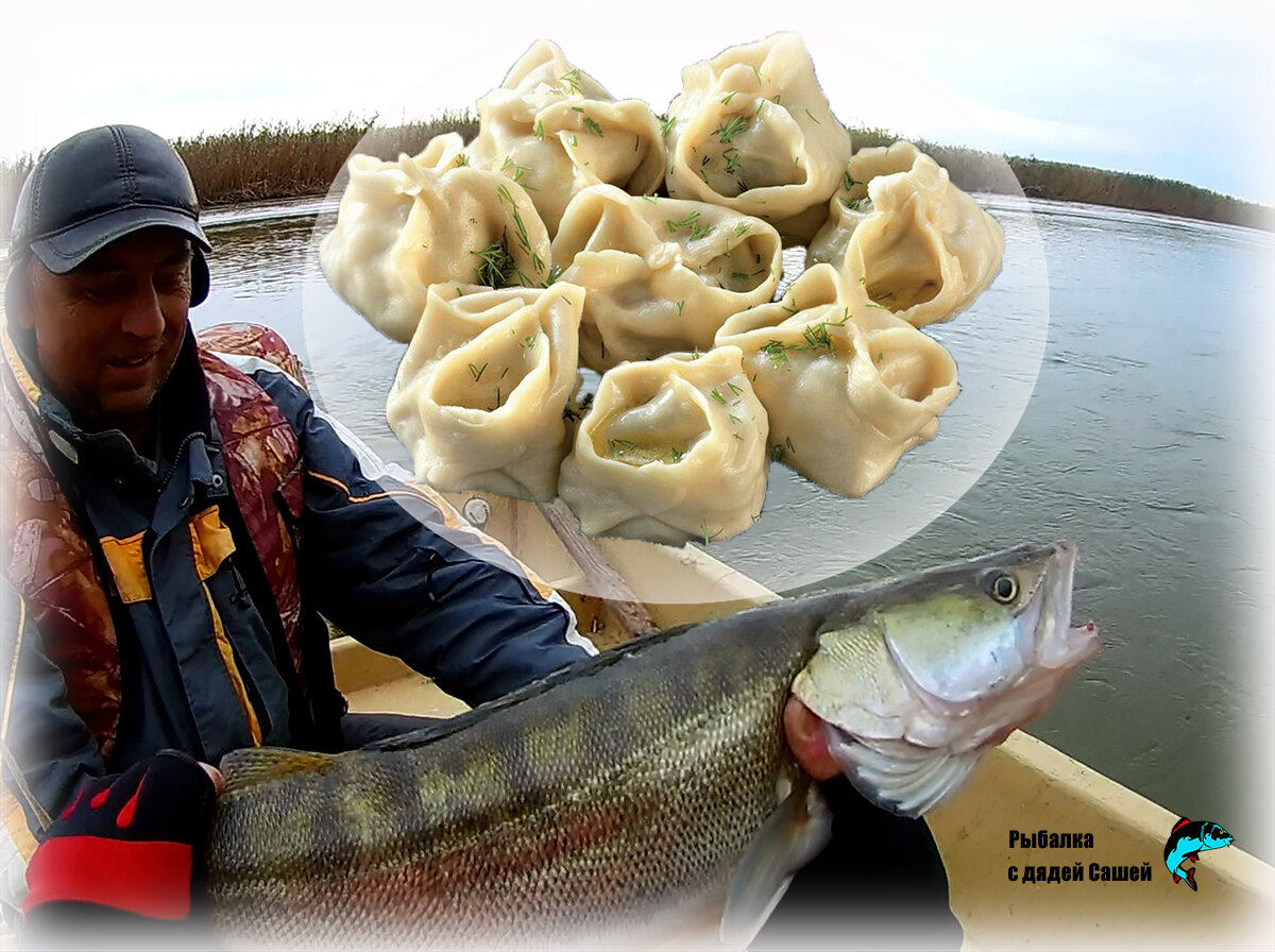 ПЕЛЬМЕНИ ИЗ СУДАКА: Вкуснейшее рыбное блюдо | Рыбалка с дядей Сашей | Дзен