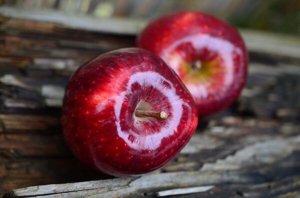 Чем опасны яблоки: 5 примеров, когда плоды не принесут пользы