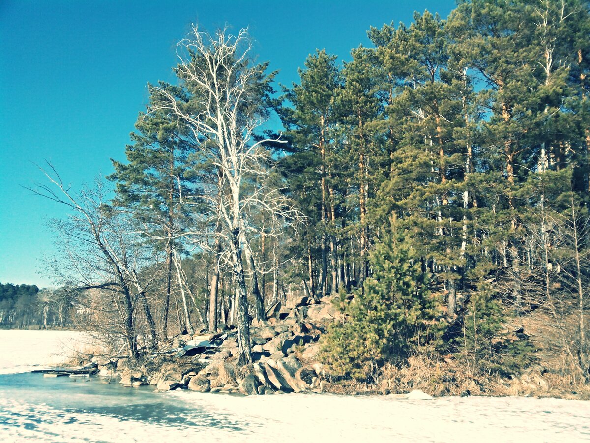 Территория санатория "Сосновая горка"