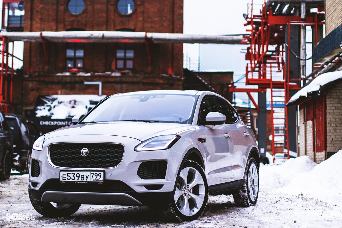 Тест-драйв Jaguar E-Pace: дикая кошка или домашний котенок? | Somanyhorses  | Дзен