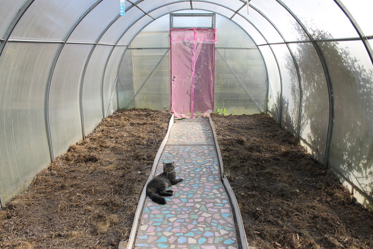 Парник штора