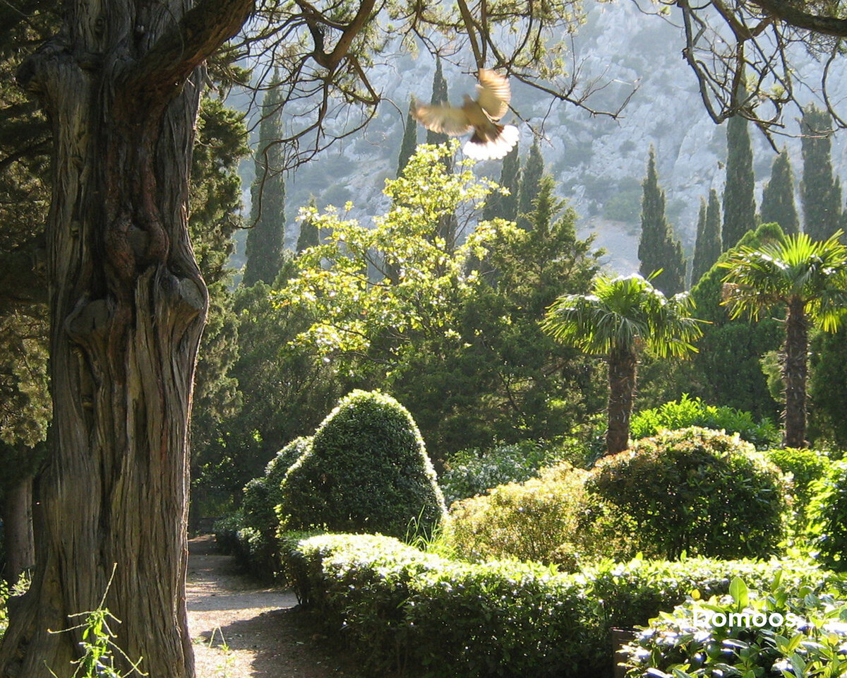 Дендрарий Сочи