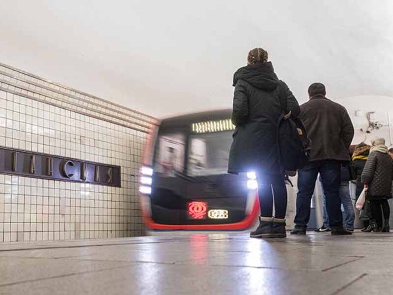 Изображение взято с сайта Яндекс. Картинки