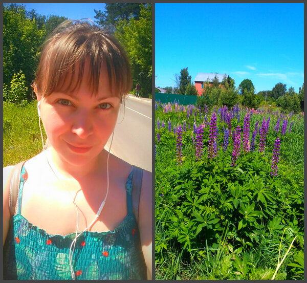 Фото цветущего района