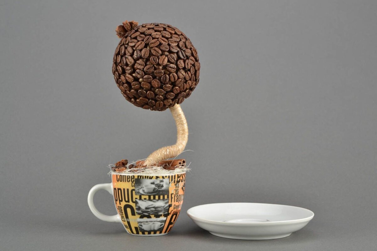 Топиарий из кофе. Кофейное дерево