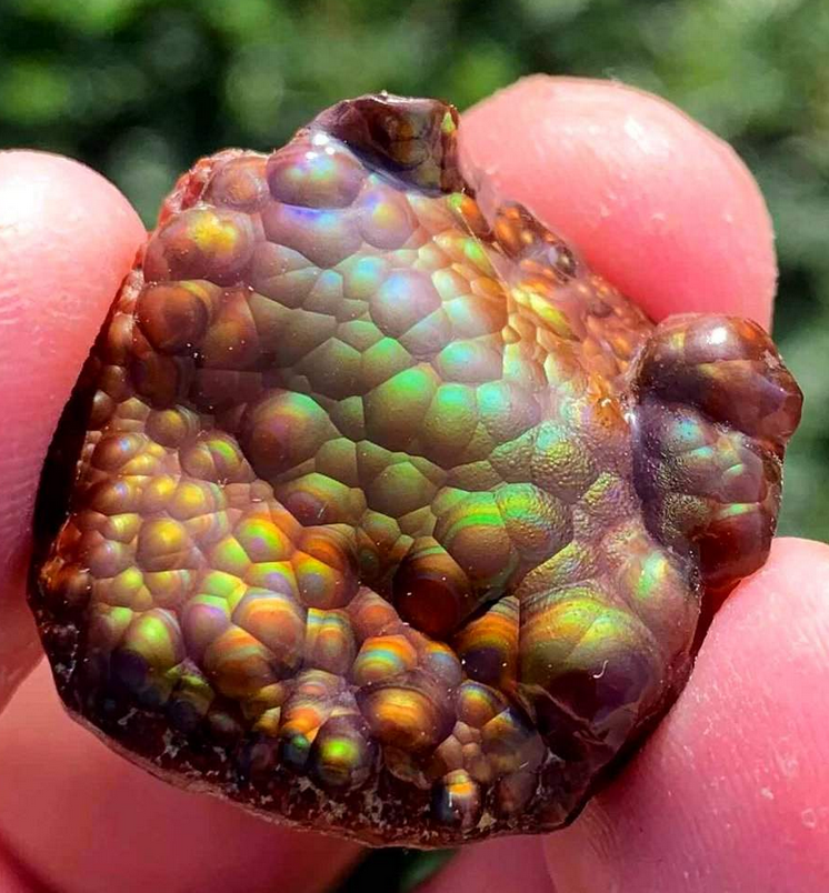 Расслоение света в камне, вызывающее огненный эффект. Фото: Айзек Джонс