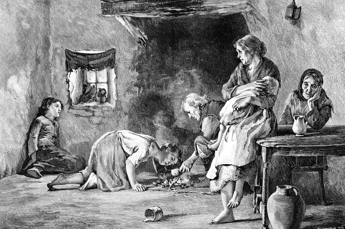 Ирландский картофельный голод 1845 1849