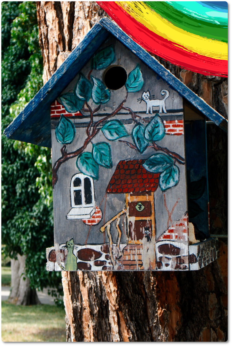 Птичий домик (Фото: А. Торопов. Коллаж: Мост Радуги)