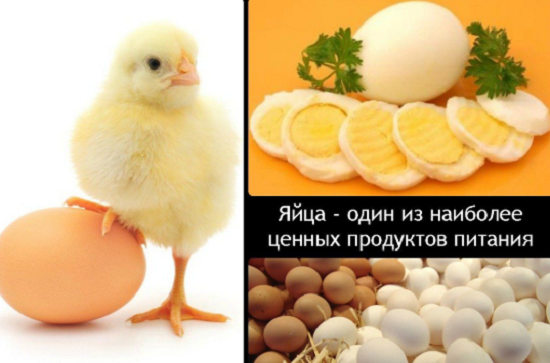фото: livadijskij-hotel.ru