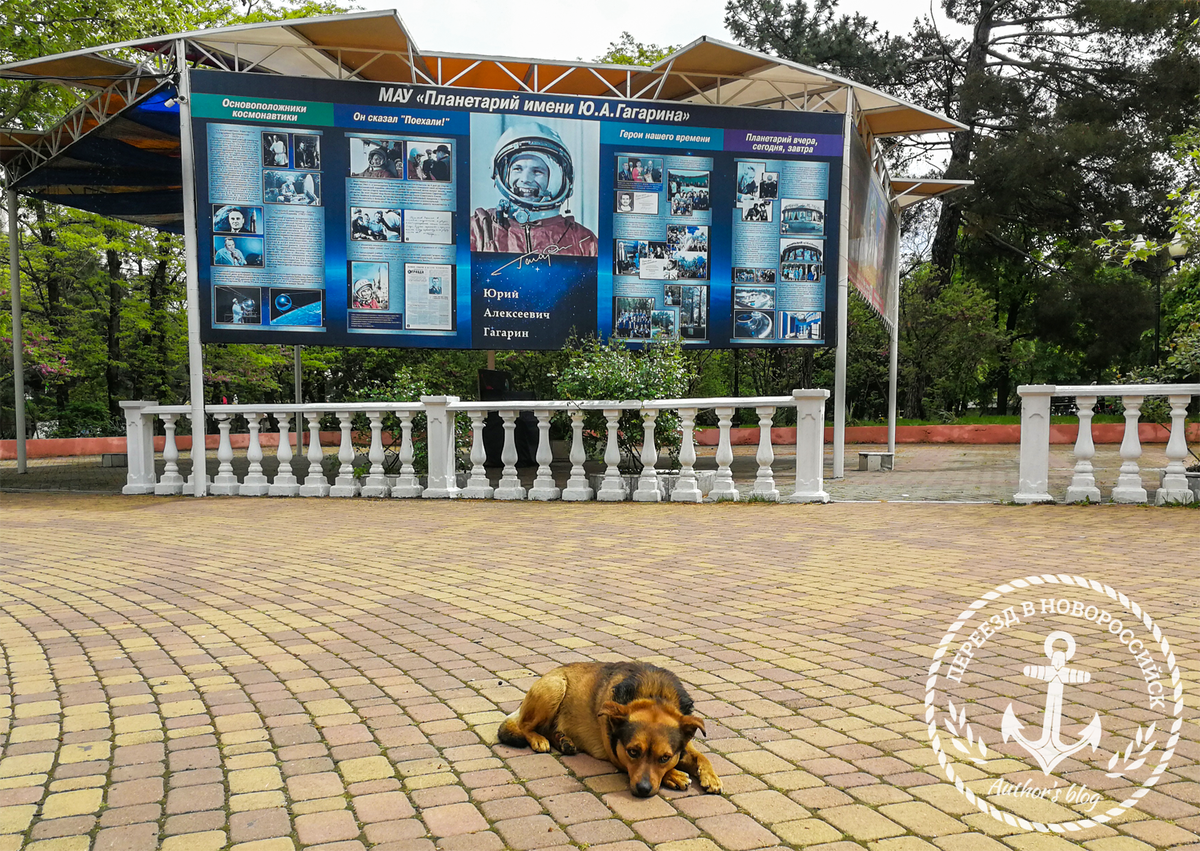В центре находится планетарий им. Ю. Гагарина – единственный в Краснодарском крае