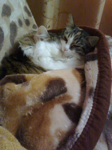 Фото из личного архива автора.