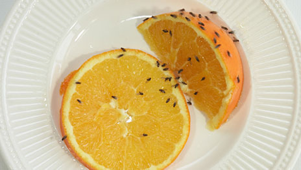 Подпишись на канал и поставь лайк! Ты поможешь развитию канала! Заранее спасибо!