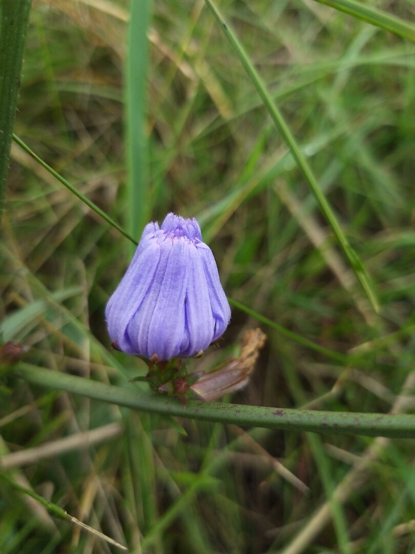                                                                                                 Фото  автора статьи                                                                                                  