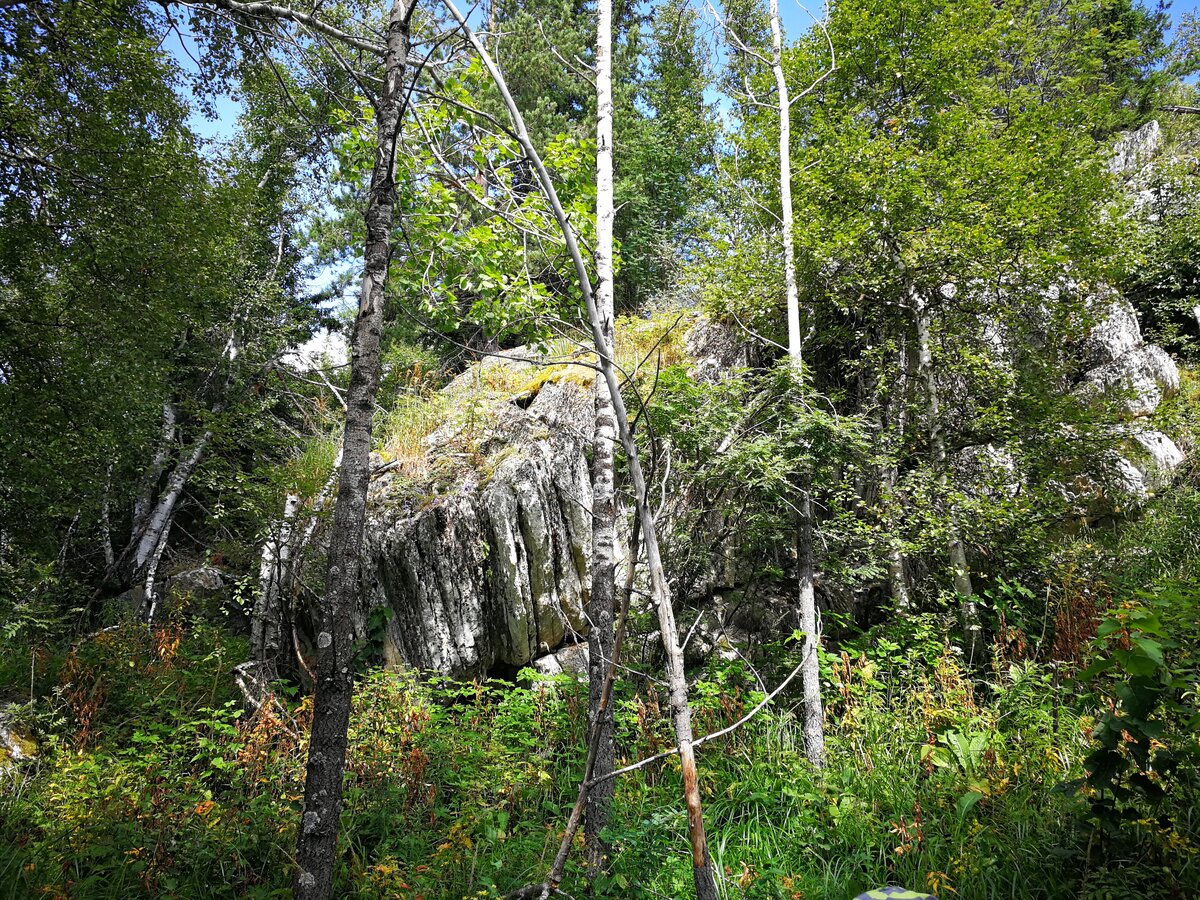 Дорога до хребта Алабия