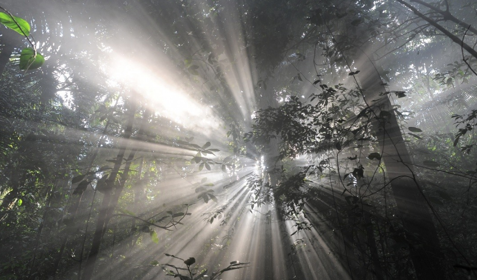 Фото:  промо к фильму 