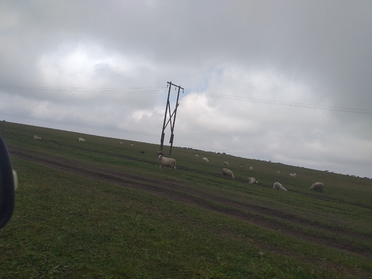 Свернули непосредственно к плато. Фото автора