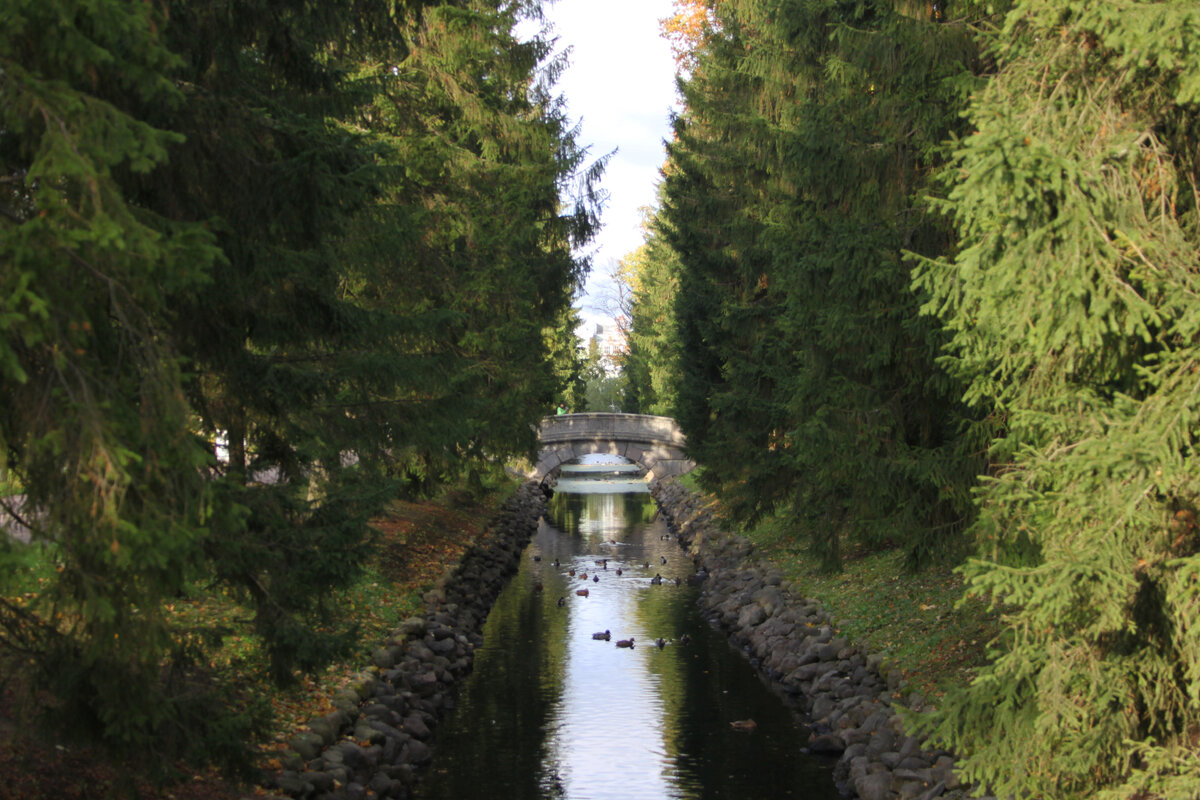 Парки Пушкина