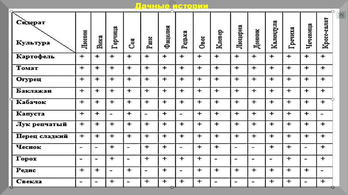 Рассчитать совместимость с городом. Таблица посадки сидератов. Совместимость сидератов и овощей таблица. Сидераты для огорода таблица. Сидераты для овощей таблица.