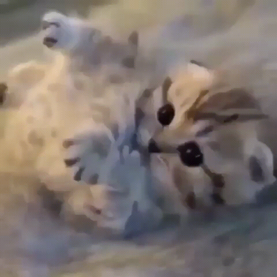 Этот котенок выпрашивает у тебя лайк!