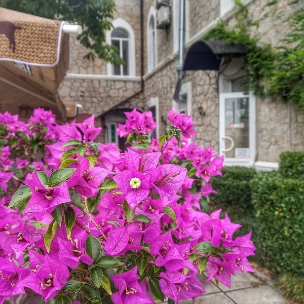 Фото- Елена Кузьмина