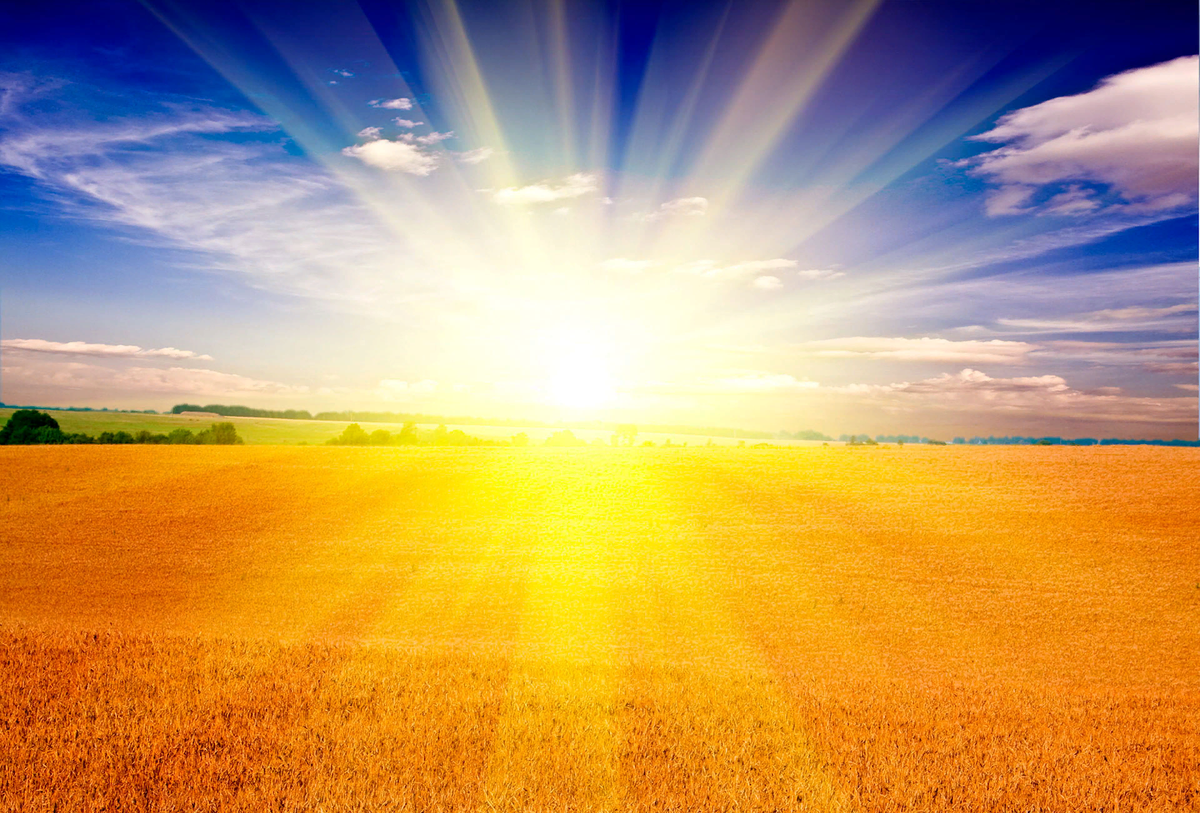 Солнце светит всем одинаково.