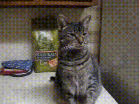 Давай пять!