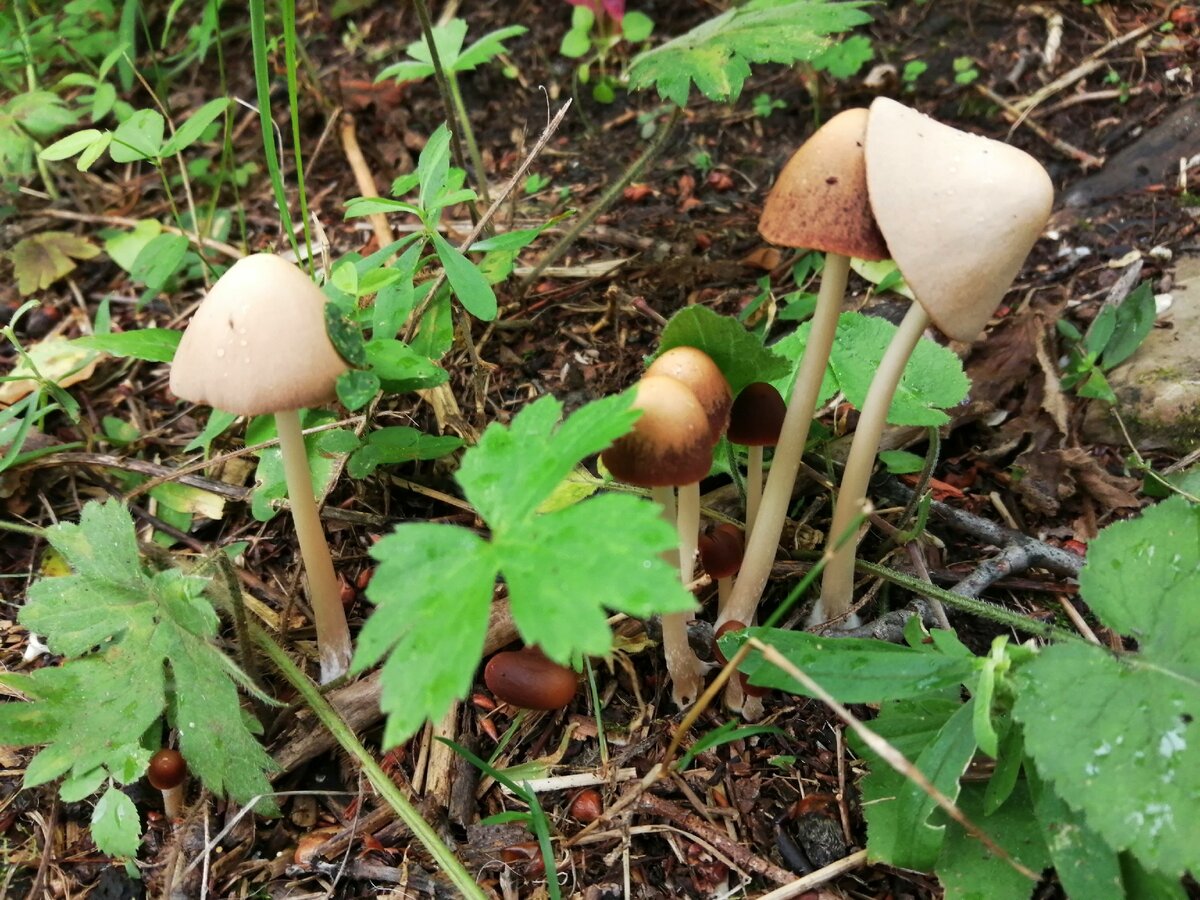 Картинка так, для привлечения внимания