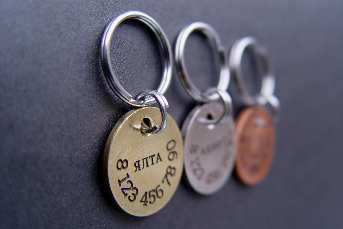 Фотография взята из открытых источников adresnik.com