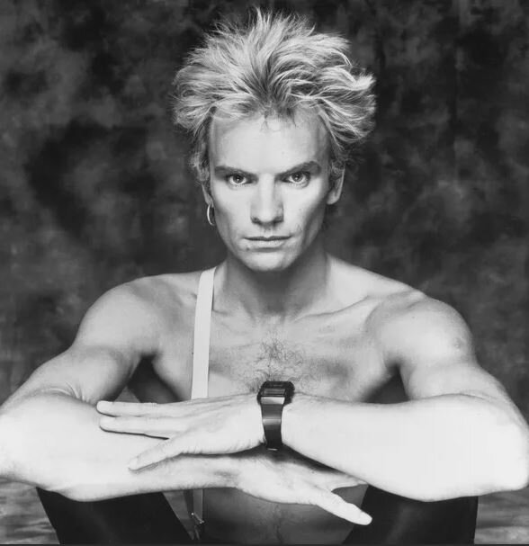 volgograd.ananasposter.ru