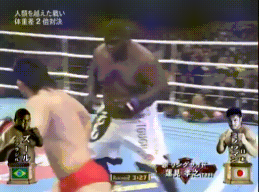 Бросок от бразильского бойца