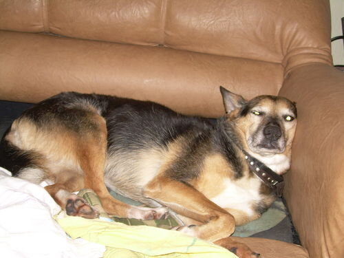 Метромаша)))