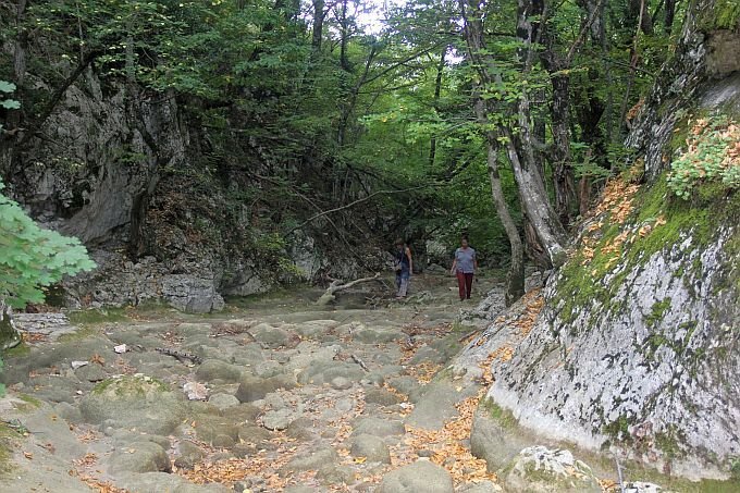 Обмелевшее русло реки Узунджа. Скриншот со страницы В. Илларионов в сети facebook.