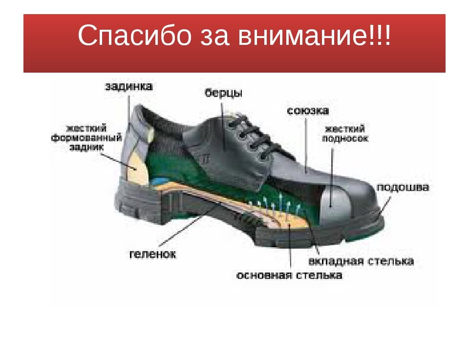 Из чего состоит обувь детали в картинках