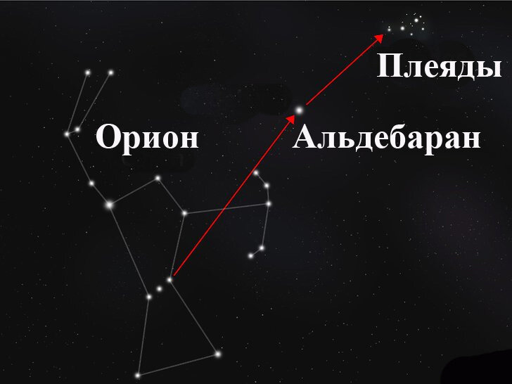 В каком созвездии находится альдебаран. Созвездие Ориона и Плеяды. Созвездие Плеяды на карте звездного неба. Созвездие Альдебаран Плеяды Гиады. Созвездие тельца и Ориона.